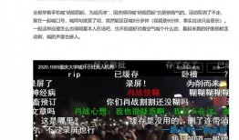 安庆工厂爆料视频曝光,揭秘生产线真实情况